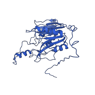 0320_6i00_B_v1-3
Cryo-EM informed directed evolution of Nitrilase 4 leads to a change in quaternary structure.