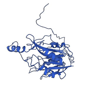 0320_6i00_E_v1-3
Cryo-EM informed directed evolution of Nitrilase 4 leads to a change in quaternary structure.