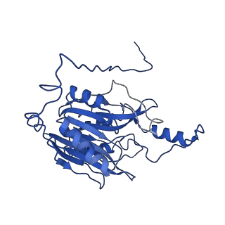 0320_6i00_F_v1-3
Cryo-EM informed directed evolution of Nitrilase 4 leads to a change in quaternary structure.