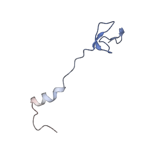 0322_6i0y_0_v1-1
TnaC-stalled ribosome complex with the titin I27 domain folding close to the ribosomal exit tunnel
