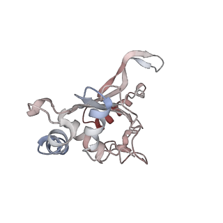 0322_6i0y_F_v1-1
TnaC-stalled ribosome complex with the titin I27 domain folding close to the ribosomal exit tunnel