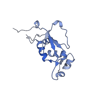 0322_6i0y_J_v1-1
TnaC-stalled ribosome complex with the titin I27 domain folding close to the ribosomal exit tunnel