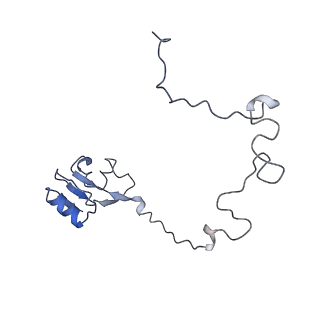 0322_6i0y_L_v1-1
TnaC-stalled ribosome complex with the titin I27 domain folding close to the ribosomal exit tunnel