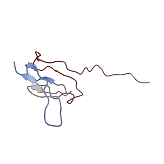 0322_6i0y_W_v1-1
TnaC-stalled ribosome complex with the titin I27 domain folding close to the ribosomal exit tunnel