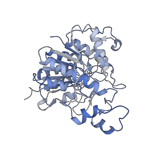 35092_8i02_B_v1-0
Cryo-EM structure of the SIN3S complex from S. pombe