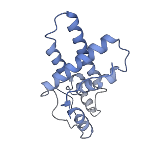 35092_8i02_E_v1-0
Cryo-EM structure of the SIN3S complex from S. pombe