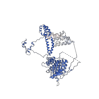 35093_8i03_B_v1-0
Cryo-EM structure of the SIN3L complex from S. pombe