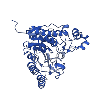 35093_8i03_C_v1-0
Cryo-EM structure of the SIN3L complex from S. pombe