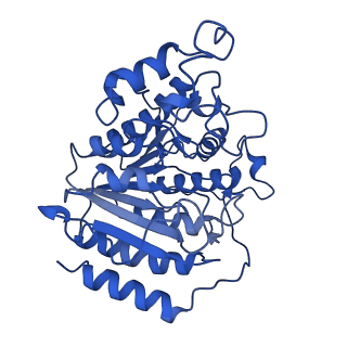 35093_8i03_D_v1-0
Cryo-EM structure of the SIN3L complex from S. pombe