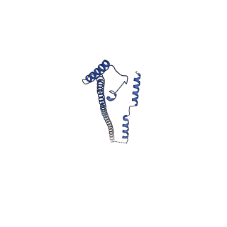 35093_8i03_G_v1-0
Cryo-EM structure of the SIN3L complex from S. pombe