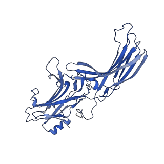 35104_8i0n_B_v1-0
Structure of beta-arrestin1 in complex with a phosphopeptide corresponding to the human C5a anaphylatoxin chemotactic receptor 1, C5aR1 (Local refine)