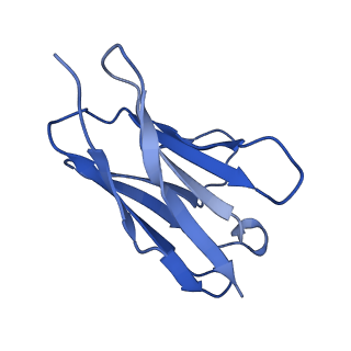 35104_8i0n_M_v1-0
Structure of beta-arrestin1 in complex with a phosphopeptide corresponding to the human C5a anaphylatoxin chemotactic receptor 1, C5aR1 (Local refine)
