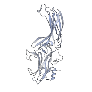35106_8i0q_B_v1-0
Structure of beta-arrestin1 in complex with a phosphopeptide corresponding to the human C-X-C chemokine receptor type 4, CXCR4 (Local refine)