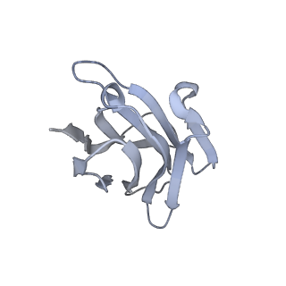 35106_8i0q_H_v1-0
Structure of beta-arrestin1 in complex with a phosphopeptide corresponding to the human C-X-C chemokine receptor type 4, CXCR4 (Local refine)