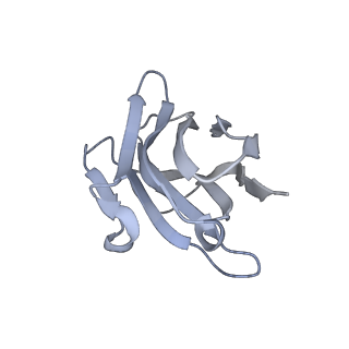 35106_8i0q_I_v1-0
Structure of beta-arrestin1 in complex with a phosphopeptide corresponding to the human C-X-C chemokine receptor type 4, CXCR4 (Local refine)