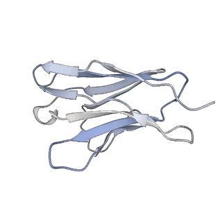 35106_8i0q_L_v1-0
Structure of beta-arrestin1 in complex with a phosphopeptide corresponding to the human C-X-C chemokine receptor type 4, CXCR4 (Local refine)