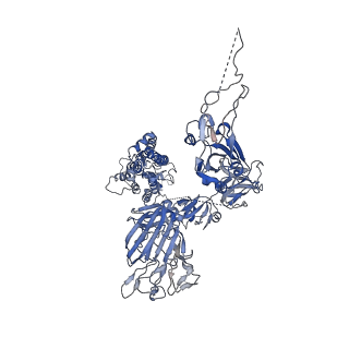 8069_5i08_B_v1-4
Prefusion structure of a human coronavirus spike protein