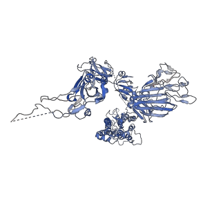 8069_5i08_C_v1-4
Prefusion structure of a human coronavirus spike protein