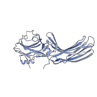 35115_8i10_A_v1-0
Structure of beta-arrestin2 in complex with a phosphopeptide corresponding to the human Vasopressin V2 receptor, V2R (Local refine)