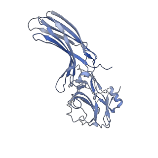 35115_8i10_B_v1-0
Structure of beta-arrestin2 in complex with a phosphopeptide corresponding to the human Vasopressin V2 receptor, V2R (Local refine)