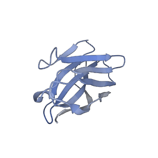 35115_8i10_D_v1-0
Structure of beta-arrestin2 in complex with a phosphopeptide corresponding to the human Vasopressin V2 receptor, V2R (Local refine)
