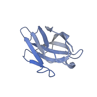 35115_8i10_H_v1-0
Structure of beta-arrestin2 in complex with a phosphopeptide corresponding to the human Vasopressin V2 receptor, V2R (Local refine)