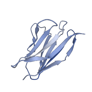 35115_8i10_L_v1-0
Structure of beta-arrestin2 in complex with a phosphopeptide corresponding to the human Vasopressin V2 receptor, V2R (Local refine)