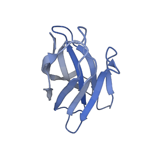 35115_8i10_M_v1-0
Structure of beta-arrestin2 in complex with a phosphopeptide corresponding to the human Vasopressin V2 receptor, V2R (Local refine)