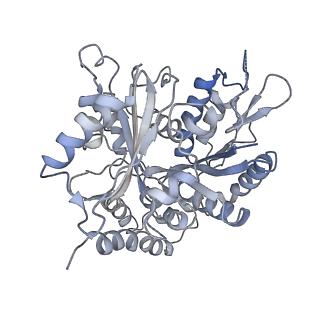 0331_6i2i_A_v1-1
Refined 13pf Hela Cell Tubulin microtubule (EML4-NTD decorated)