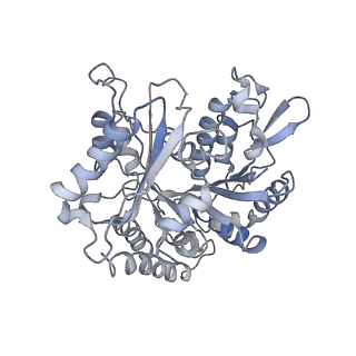 0331_6i2i_B_v1-1
Refined 13pf Hela Cell Tubulin microtubule (EML4-NTD decorated)