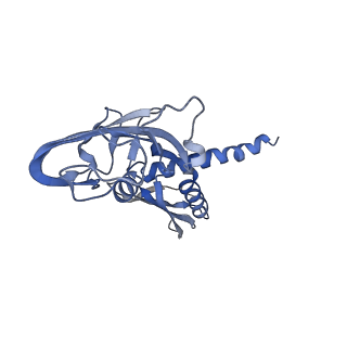 35130_8i23_A_v1-1
Clostridium thermocellum RNA polymerase transcription open complex with SigI1 and its promoter