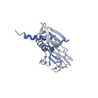 35130_8i23_B_v1-1
Clostridium thermocellum RNA polymerase transcription open complex with SigI1 and its promoter
