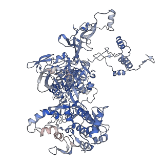 35130_8i23_C_v1-1
Clostridium thermocellum RNA polymerase transcription open complex with SigI1 and its promoter