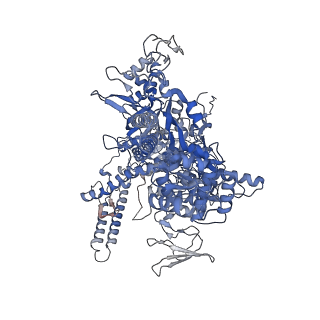 35130_8i23_D_v1-1
Clostridium thermocellum RNA polymerase transcription open complex with SigI1 and its promoter