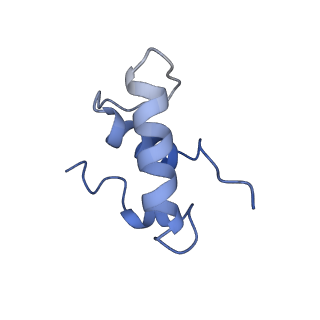 35130_8i23_E_v1-1
Clostridium thermocellum RNA polymerase transcription open complex with SigI1 and its promoter
