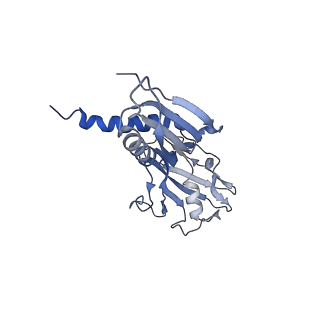 35131_8i24_A_v1-1
Clostridium thermocellum RNA polymerase transcription open complex with SigI6 and its promoter