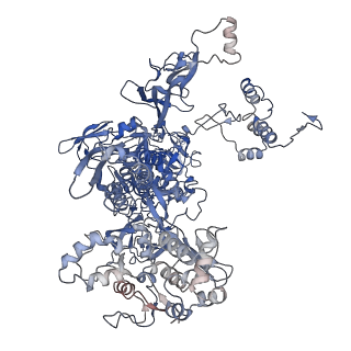35131_8i24_C_v1-1
Clostridium thermocellum RNA polymerase transcription open complex with SigI6 and its promoter