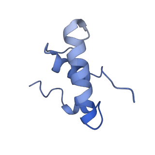 35131_8i24_E_v1-1
Clostridium thermocellum RNA polymerase transcription open complex with SigI6 and its promoter