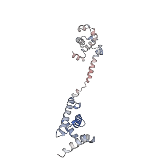 35131_8i24_F_v1-1
Clostridium thermocellum RNA polymerase transcription open complex with SigI6 and its promoter