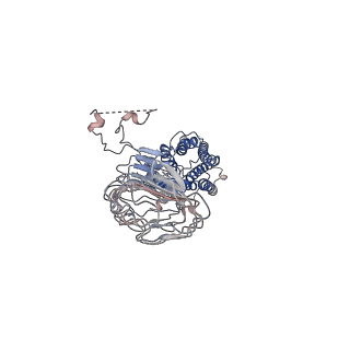 35135_8i2g_R_v1-1
FSHR-Follicle stimulating hormone-compound 716340-Gs complex