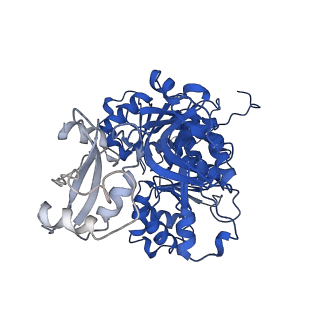 35144_8i35_B_v1-0
Acyl-ACP Synthetase structure bound to oleic acid