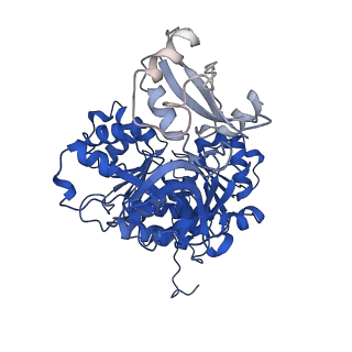 35144_8i35_D_v1-0
Acyl-ACP Synthetase structure bound to oleic acid