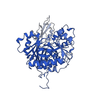 35144_8i35_E_v1-0
Acyl-ACP Synthetase structure bound to oleic acid