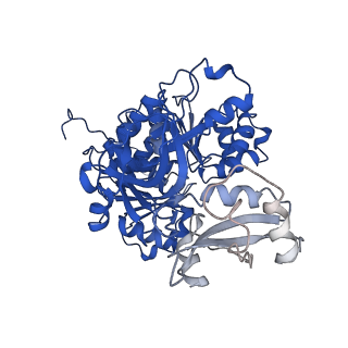 35144_8i35_F_v1-0
Acyl-ACP Synthetase structure bound to oleic acid