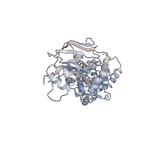 35145_8i38_A_v1-2
Cryo-EM structure of abscisic acid transporter AtABCG25 in inward conformation