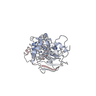 35145_8i38_B_v1-2
Cryo-EM structure of abscisic acid transporter AtABCG25 in inward conformation