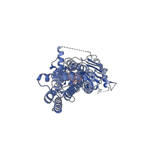 35147_8i3a_A_v1-2
Cryo-EM structure of abscisic acid transporter AtABCG25 in outward conformation