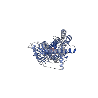 35147_8i3a_B_v1-2
Cryo-EM structure of abscisic acid transporter AtABCG25 in outward conformation