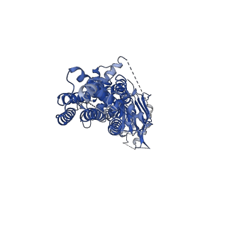 35148_8i3b_A_v1-2
Cryo-EM structure of abscisic acid transporter AtABCG25 in nanodisc