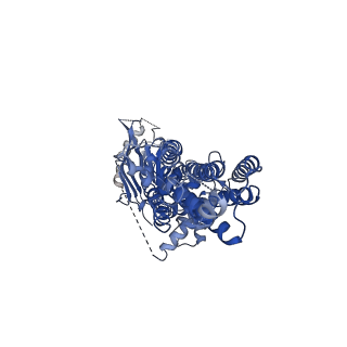35148_8i3b_B_v1-2
Cryo-EM structure of abscisic acid transporter AtABCG25 in nanodisc